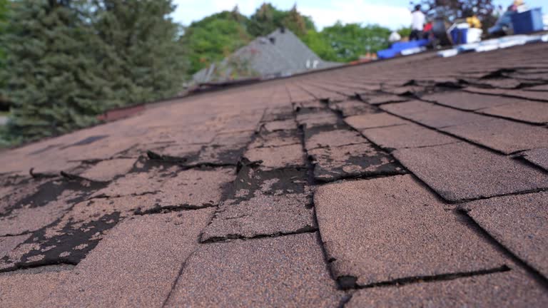 Best Sheet Metal Roofing  in Guerneville, CA